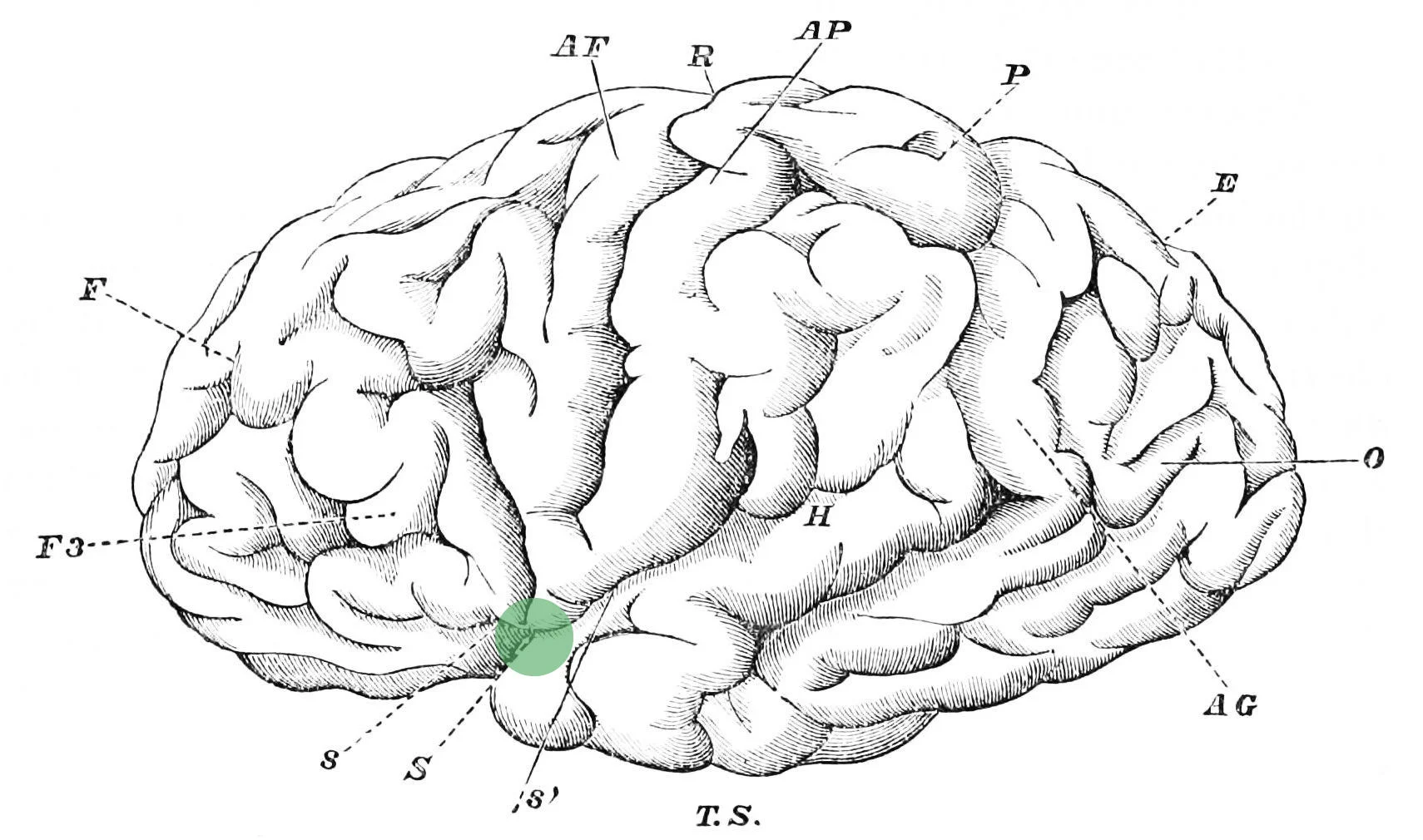 Wikimedia Commons