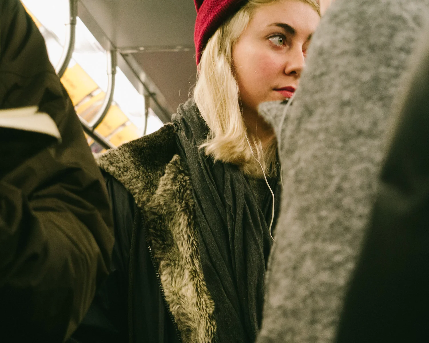 _1040211.jpg