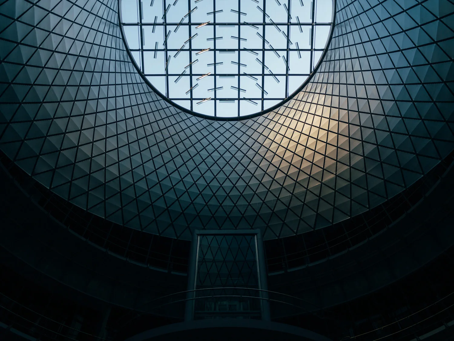 _1080509.jpg