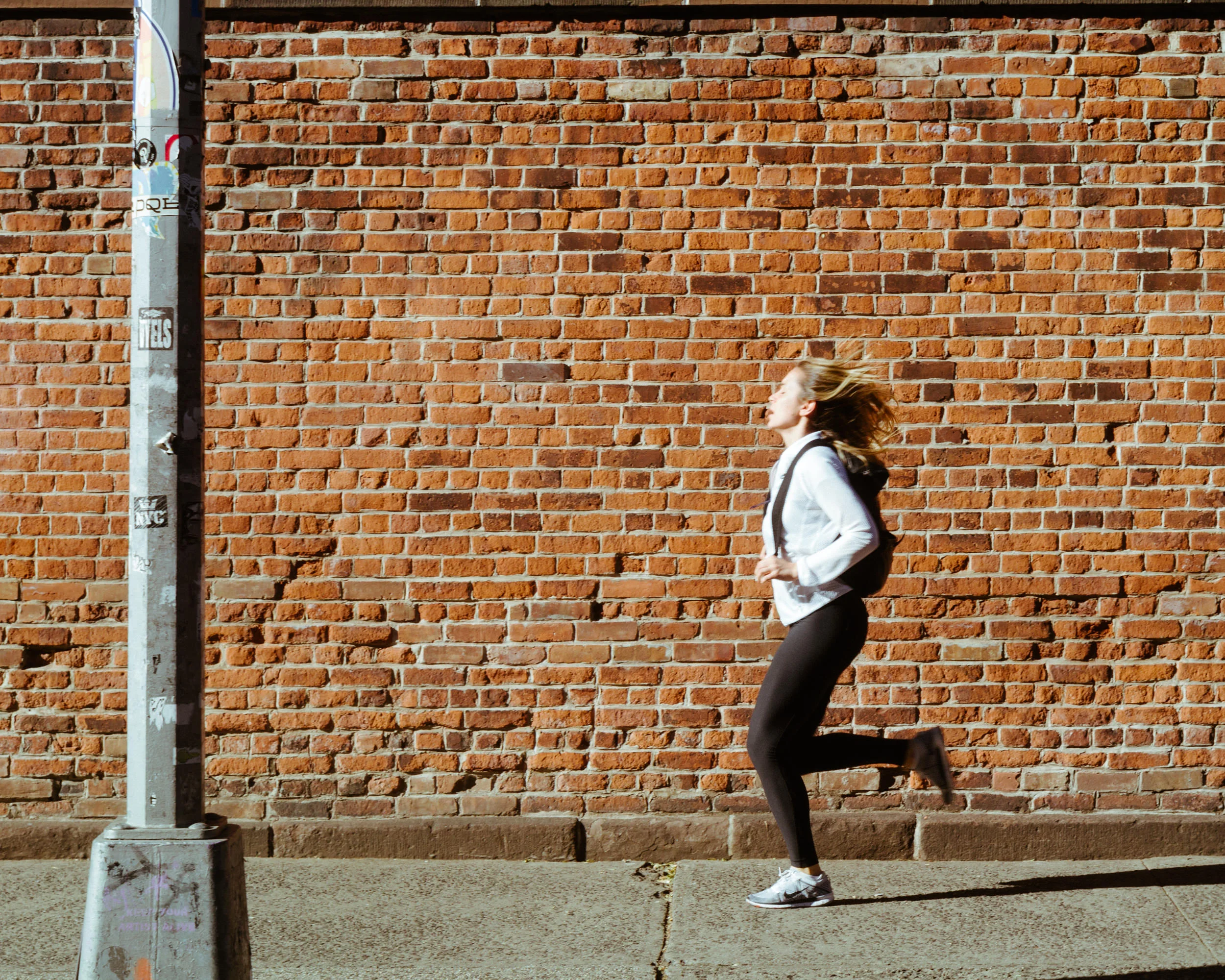 _1120779.jpg