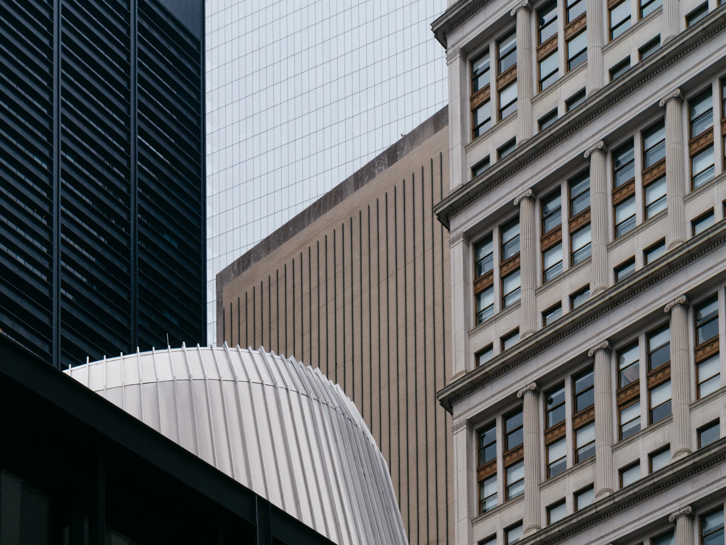 _1130188.jpg