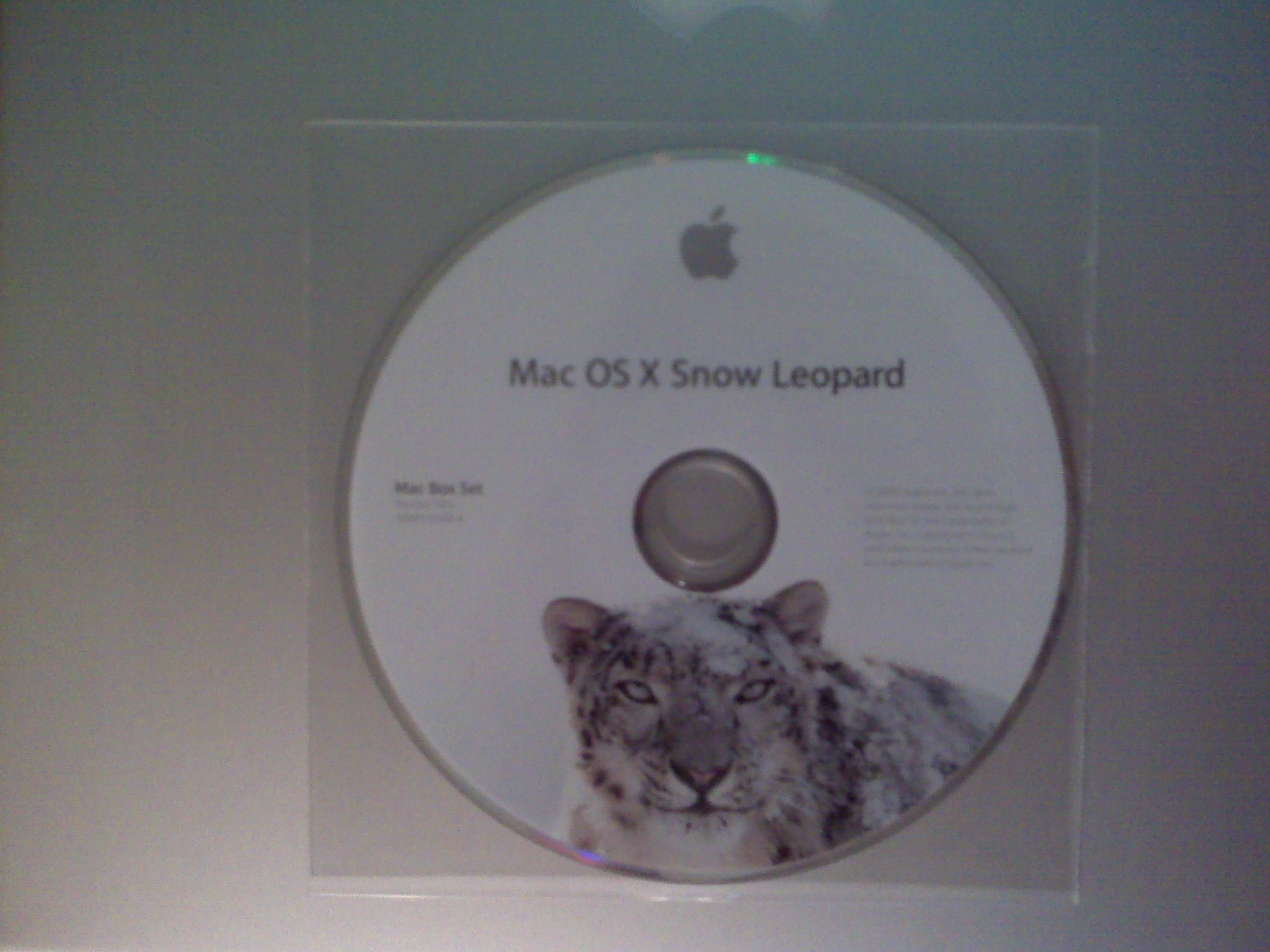 Snow Leopard