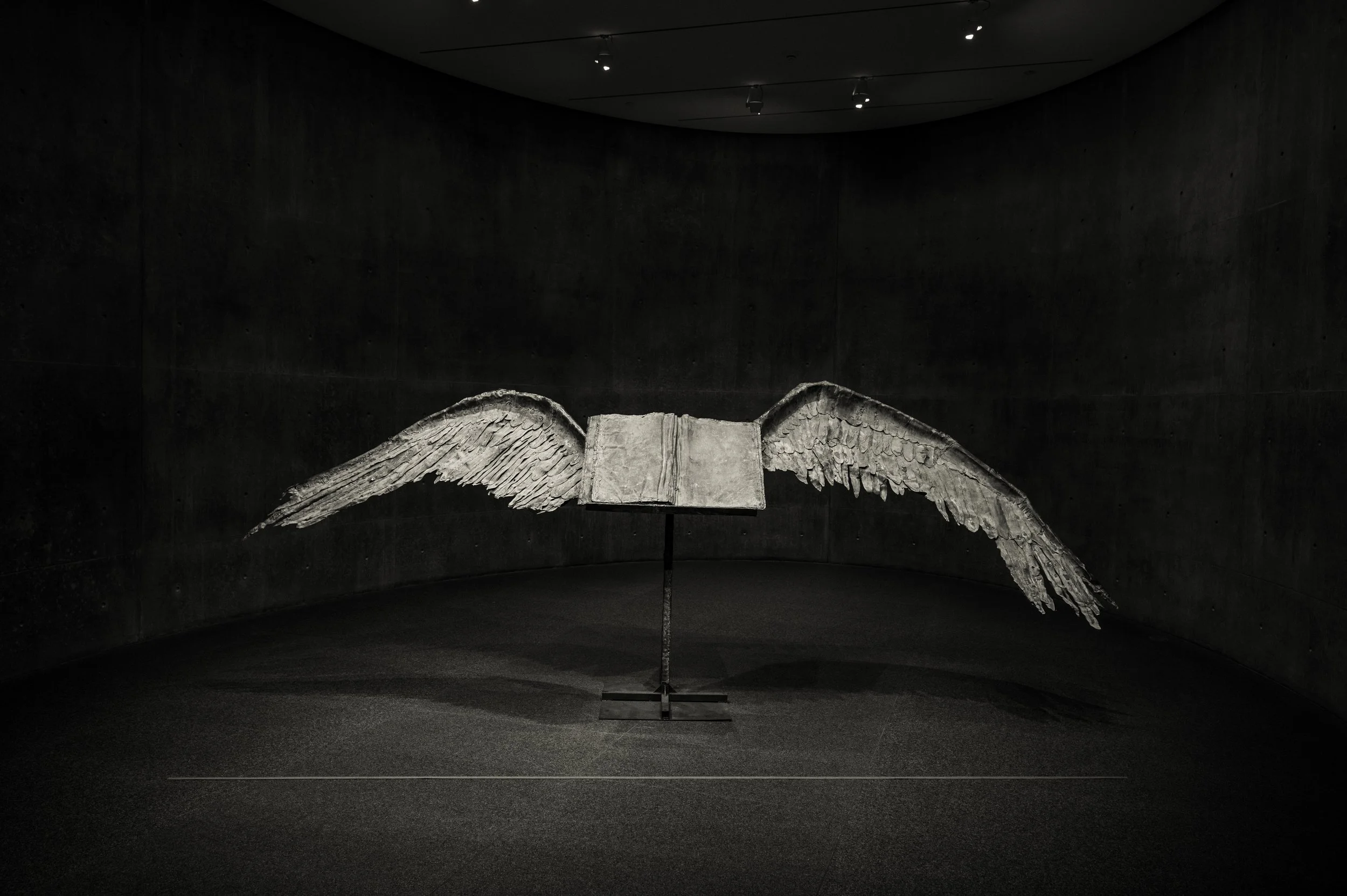 Inside the Modern Art Museum of Fort Worth — Daniel Rashid