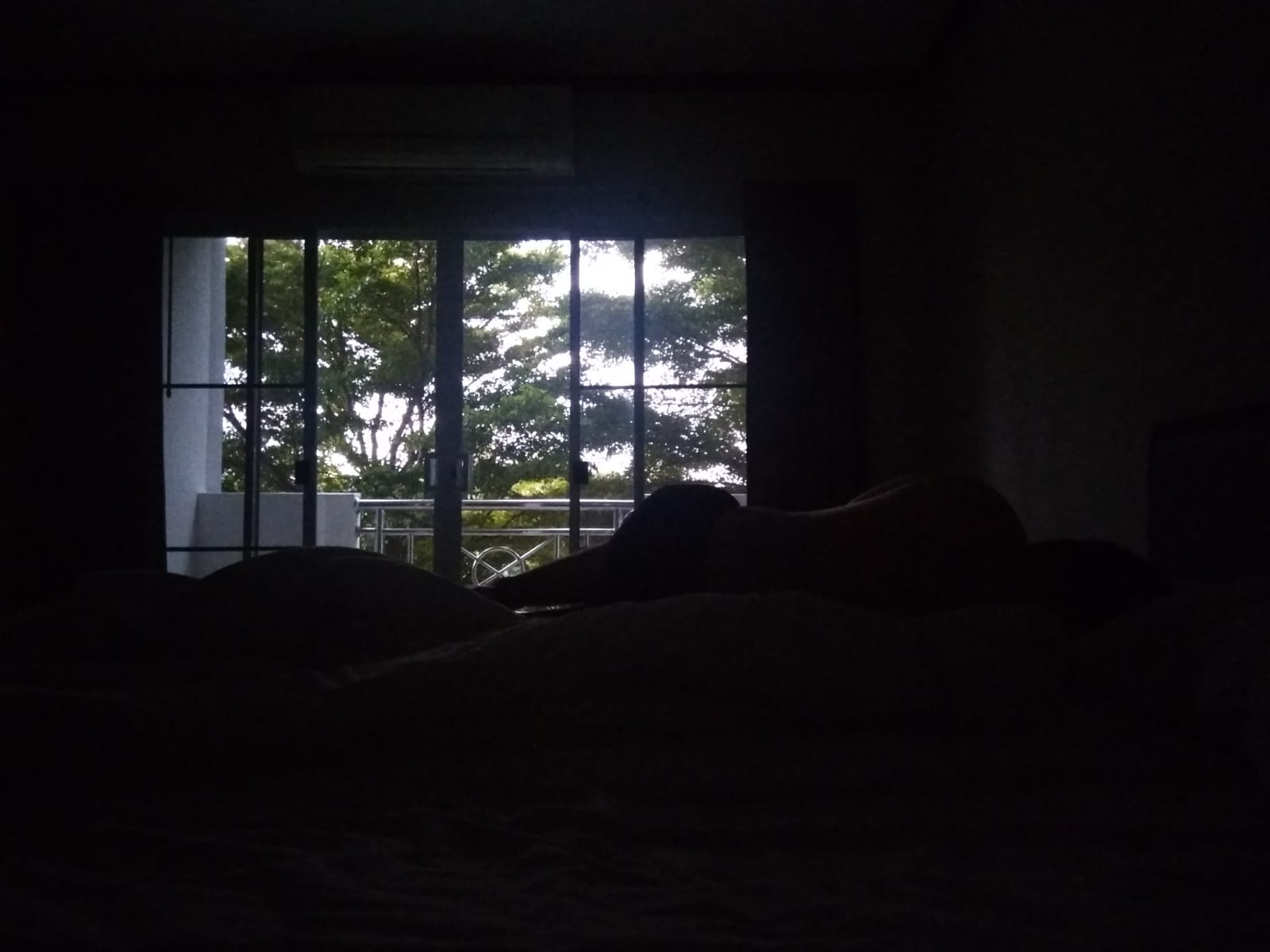 e90307f3-1b65-4081-bbb0-53f2950bed64.jpeg