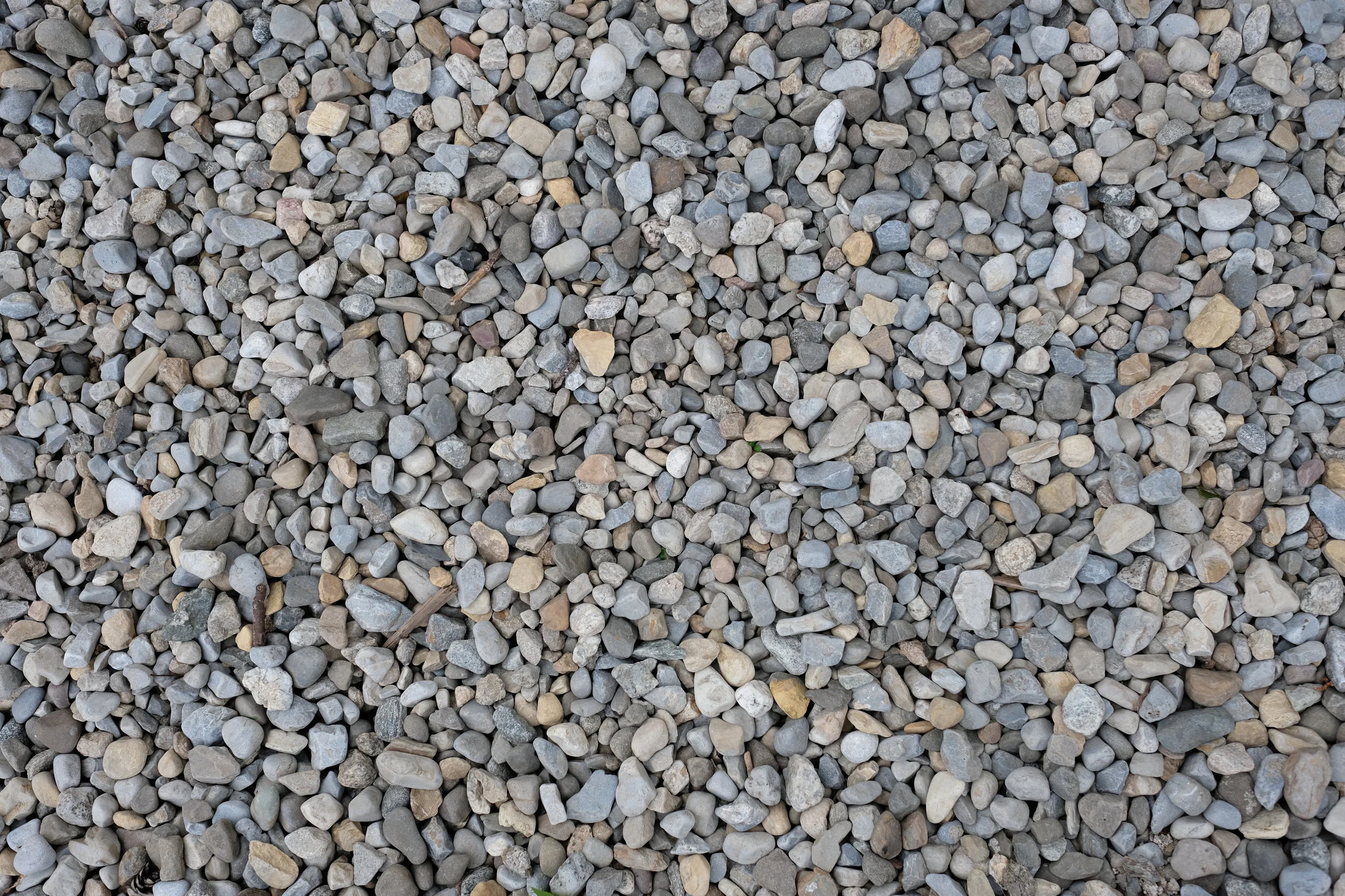 20180729_0064.JPG