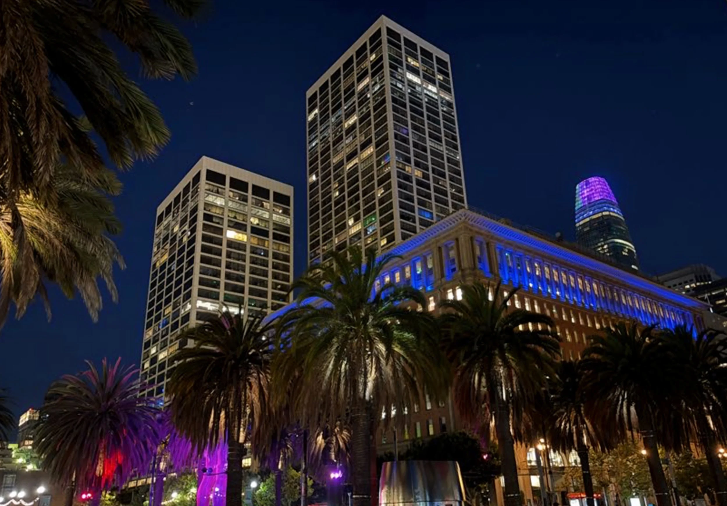 kaleidobloom_ferrybuilding3.jpg