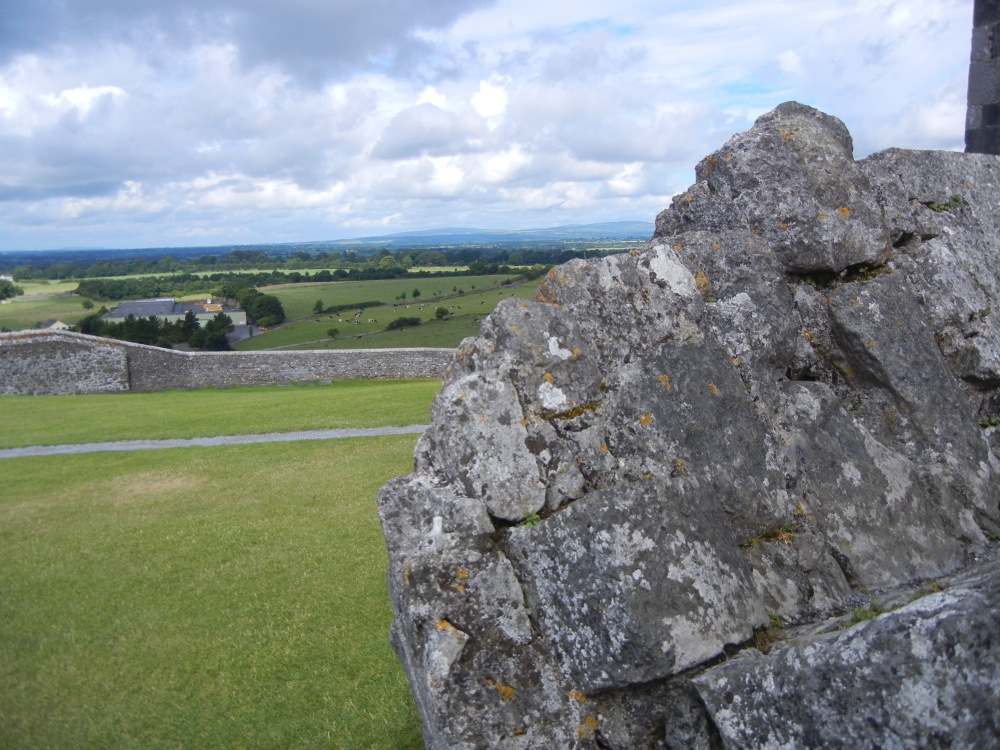 DSCN1562.jpg
