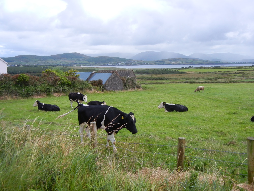 Dingle Pininsula
