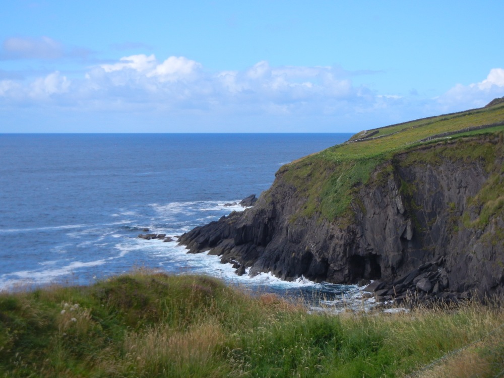 DSCN1616.jpg