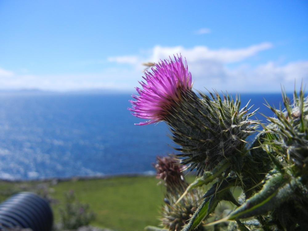 DSCN1645.jpg