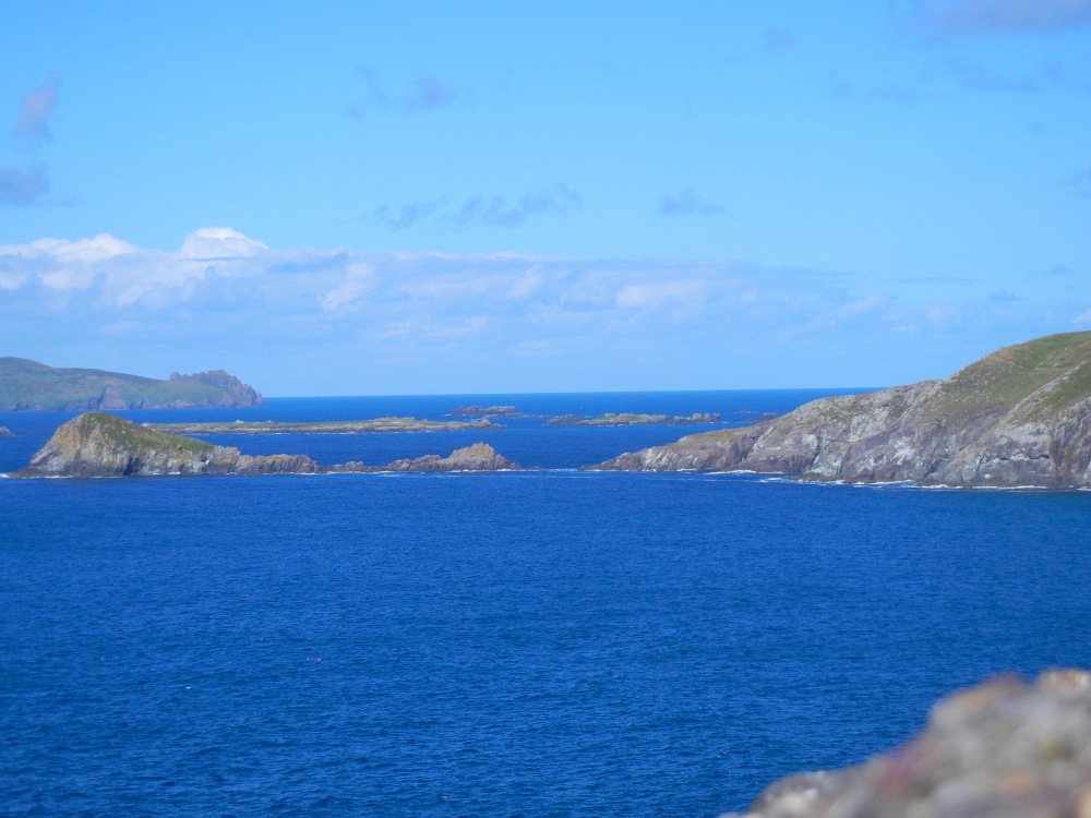 DSCN1652.jpg