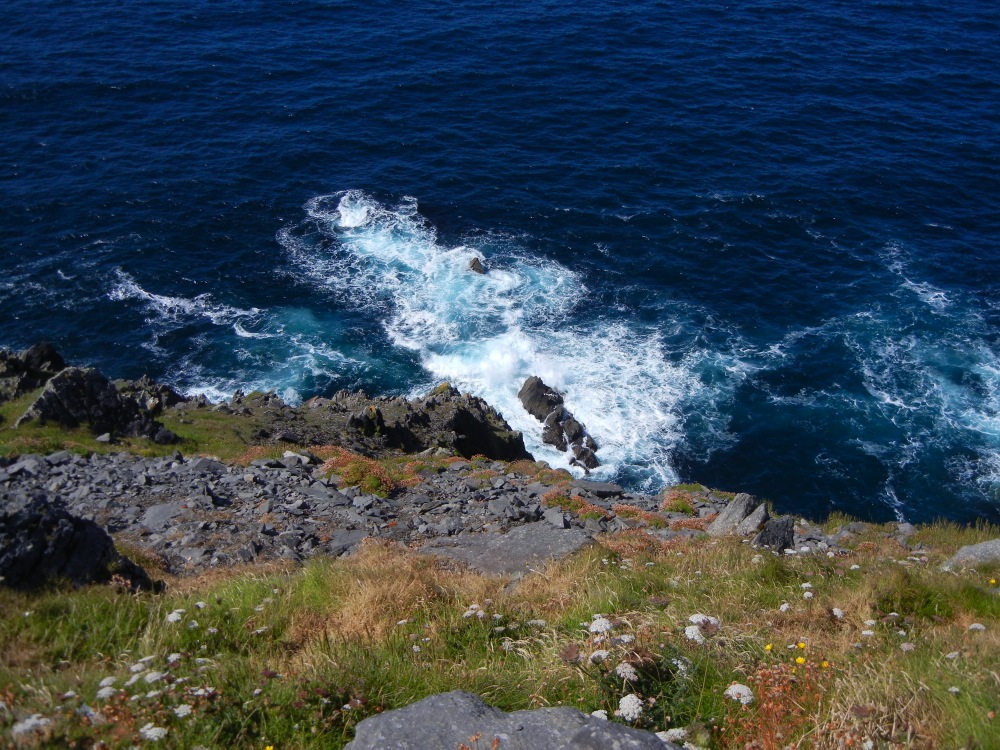 DSCN1653.jpg