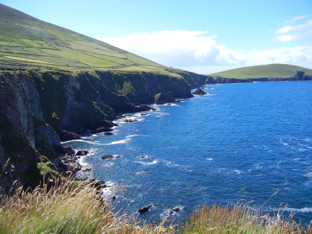 DSCN1665.jpg
