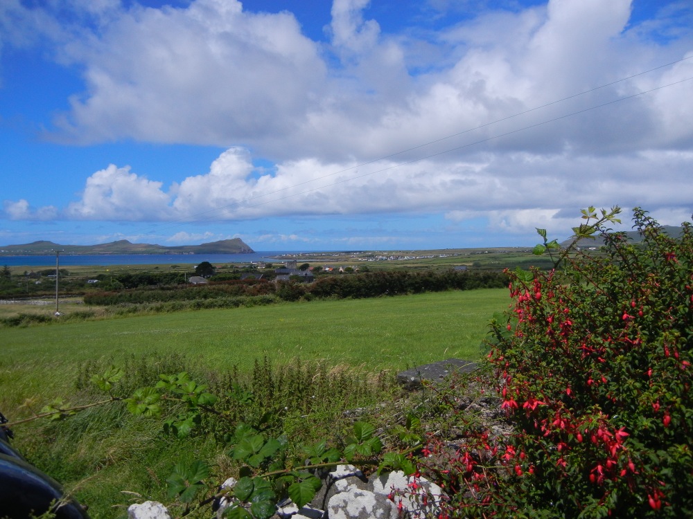 DSCN1707.jpg
