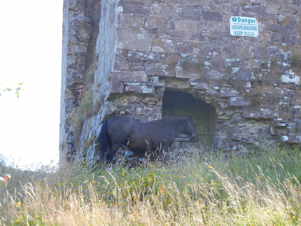 DSCN1740.jpg
