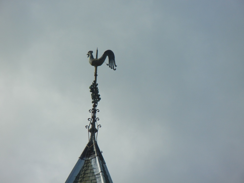 Weather Vein on top of Christchurch