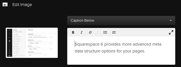 Squarespace's new captions also set the image's alt text.