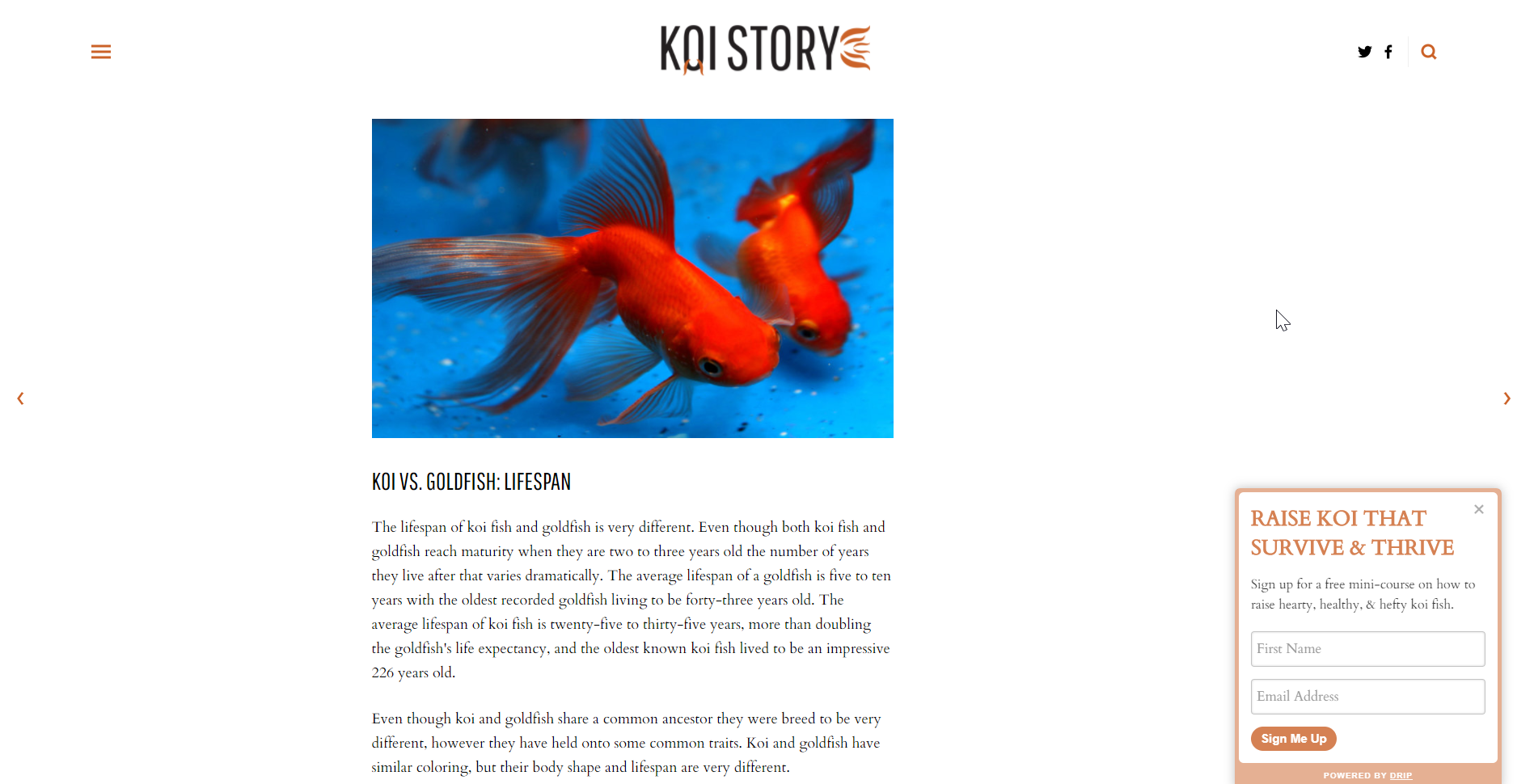 A mini-course consisting of 3-5 emails sent in a sequence is an excellent piece of lead-generation content.