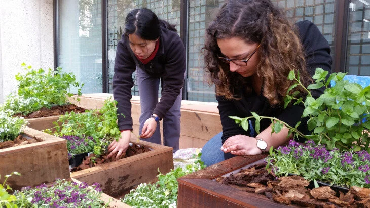Installing Plants.jpg