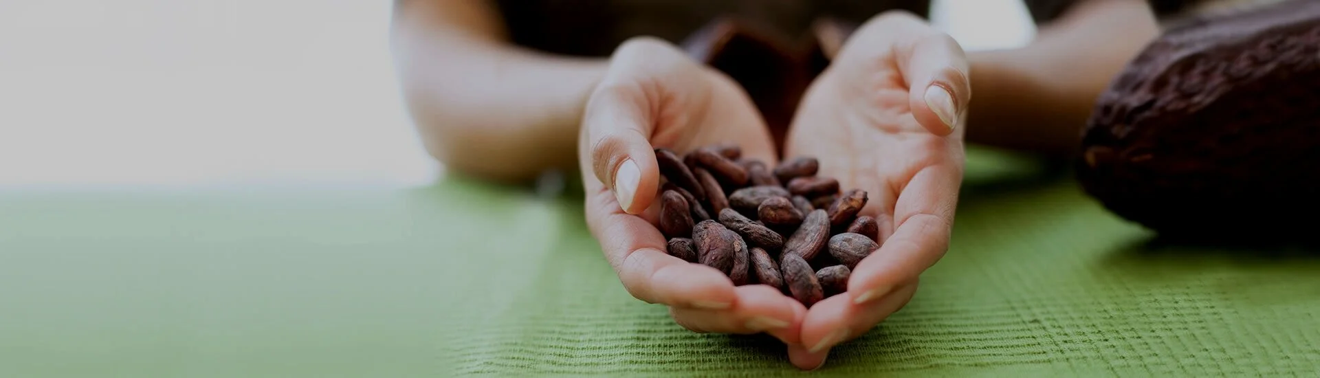 ChocolateGarage_banner.jpg