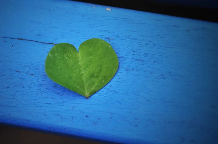 list #32:  things i should totally know how to do, but don't have a clue