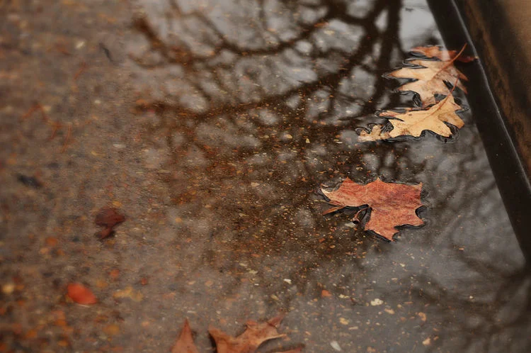 rainy nights and rainy days ...