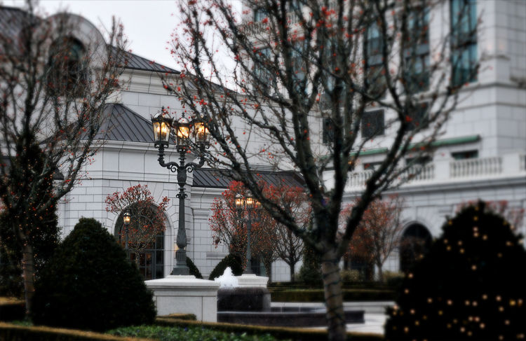 random thoughts:  a change of scenery