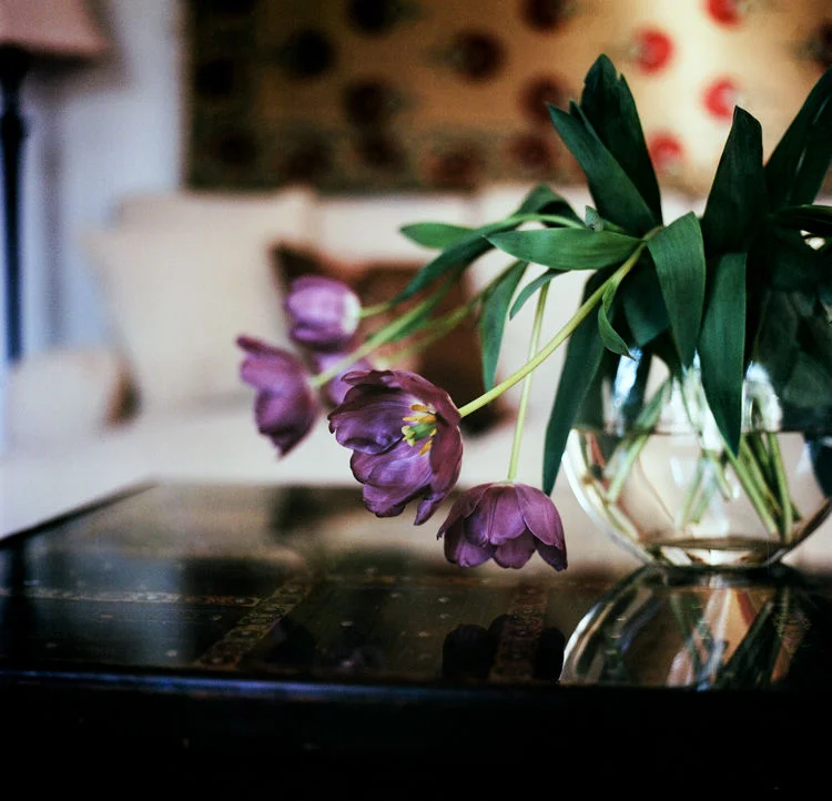 hasselblad friday:  roll #3 (or, i finally found some focus)