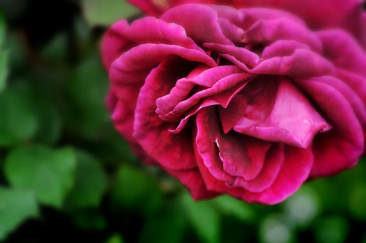 top 10 ways to show kindness (that hardly take any time at all)
