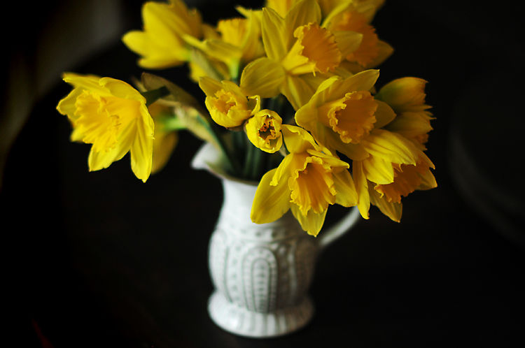 instant happy pro tip #1: daffodil edition