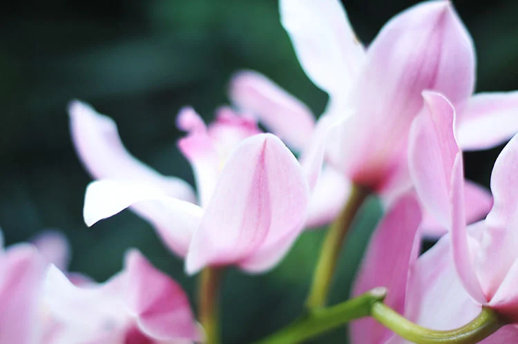 top 10 awesome things happening right this very moment