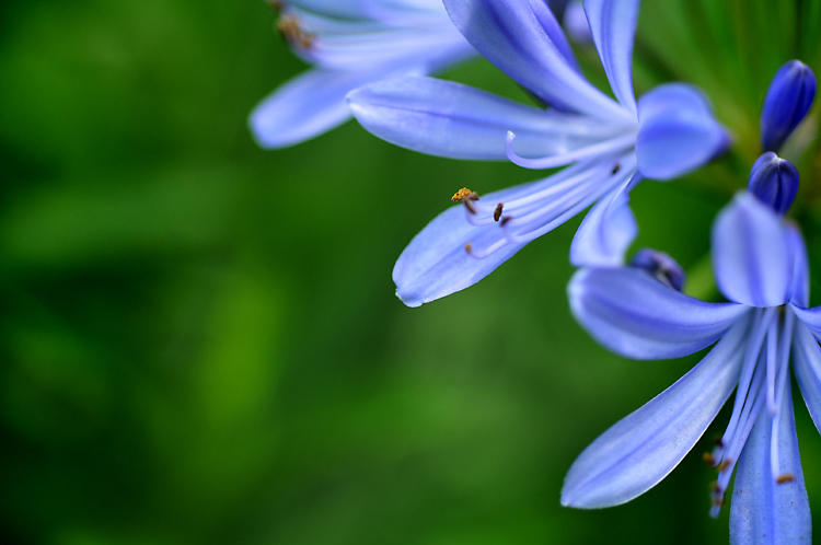 in defense of beauty:  top 10 ways to put more good out into the world