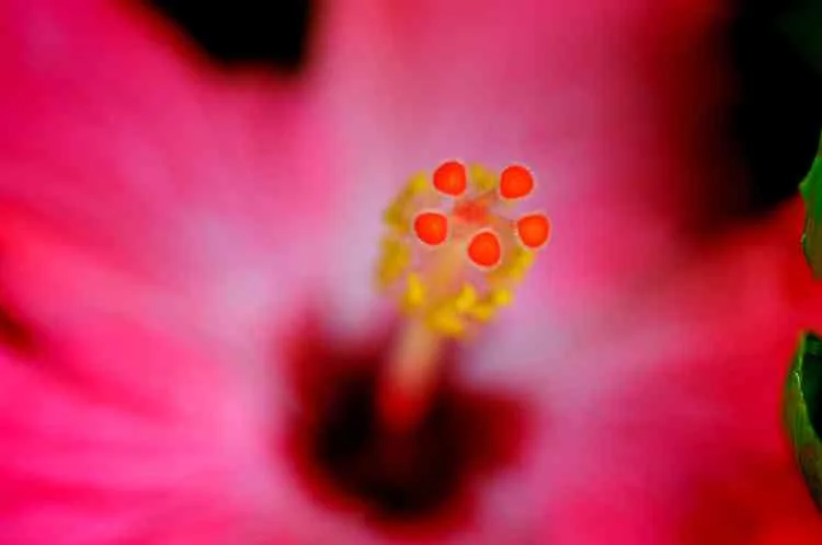 random thoughts:  self-definition (and something of a confession)