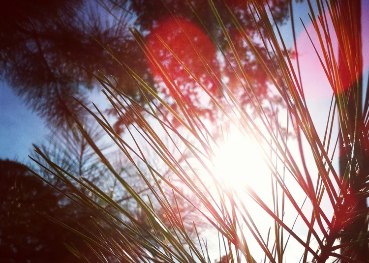 something summery this way comes (some #instacamp inspiration)