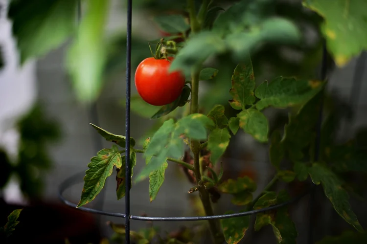 on growing a blog