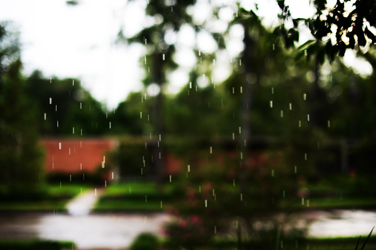 random thoughts in the quiet