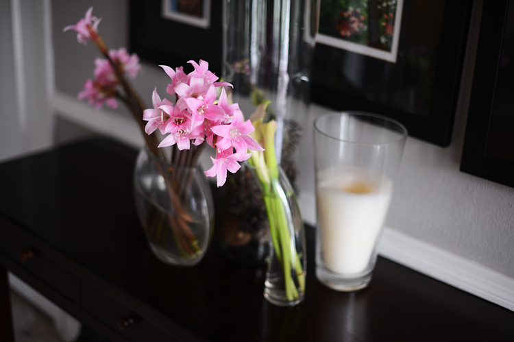 scenes from the weekend: sunday afternoon