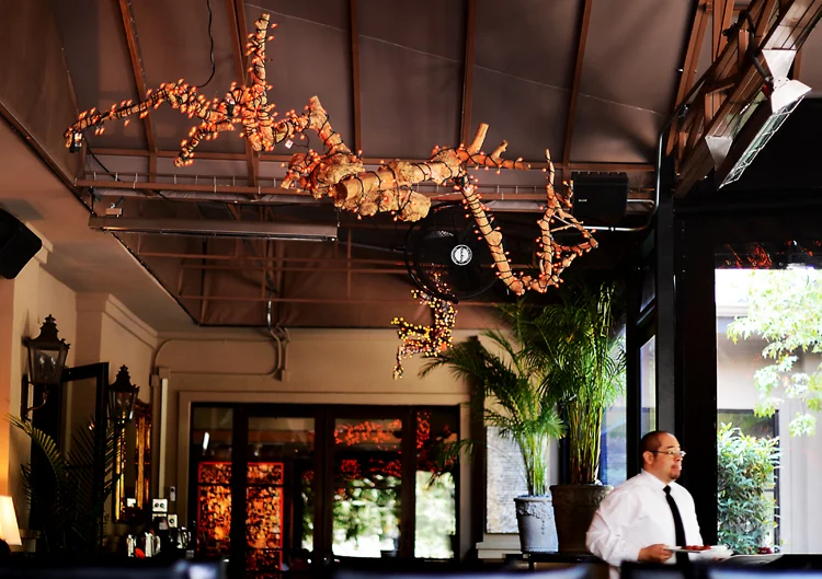 scenes from the weekend: staying zaza