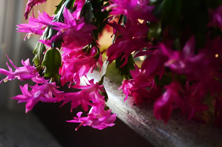 random thoughts:  knowing when it's time