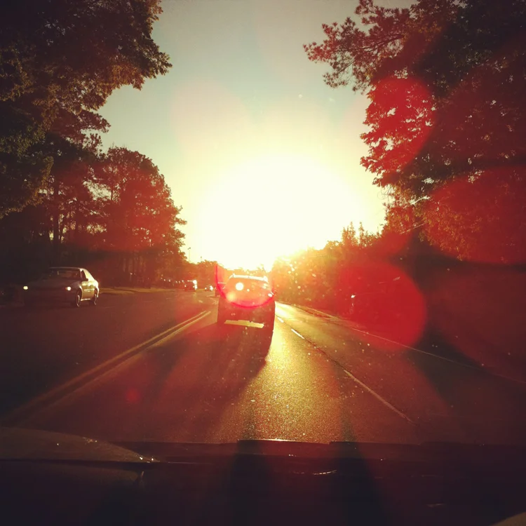 120604sunshine2.jpg
