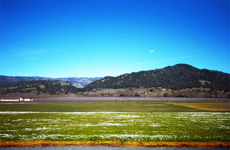 make your moment: vineyards, wineries and that thing about wine