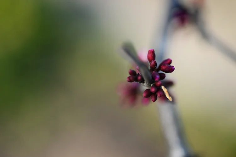 beauty all around:  just checking in
