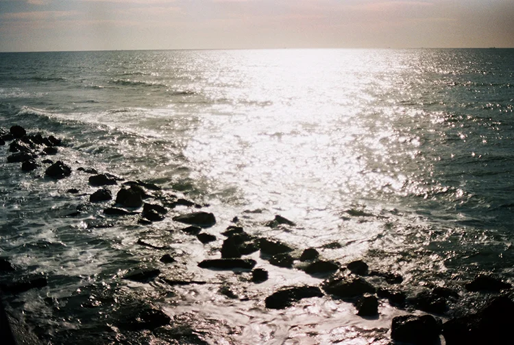 film friday:  the return of the nikon fe (and film vs. digital, redux)