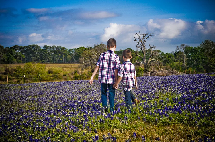 "into the wild" by sarah hubbell (navasota, texas, usa)