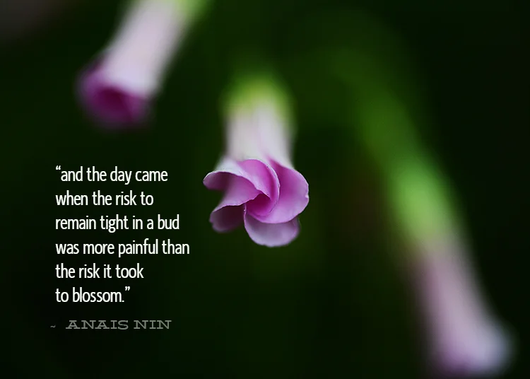 the coming day