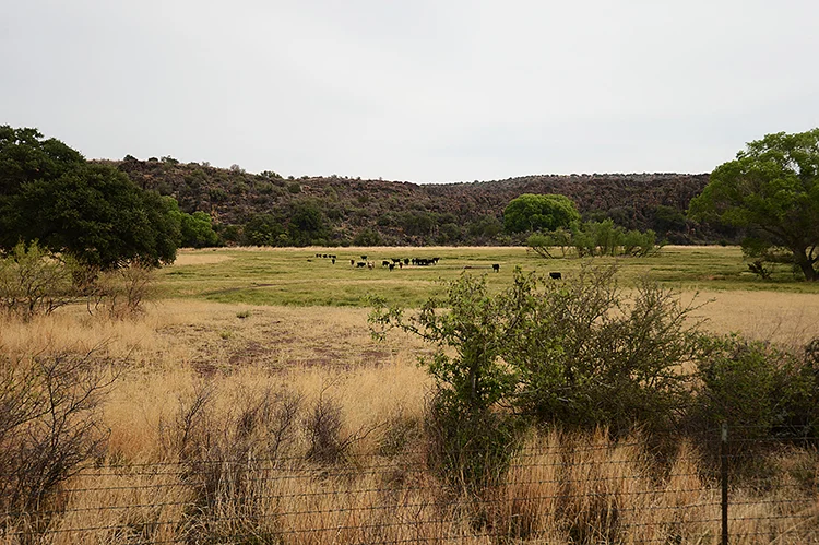 chookooloonks wild west road trip:  some favourite shots