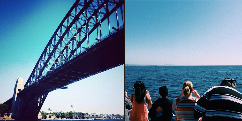 whalewatching.jpg