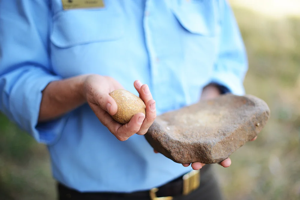 Two stones act as a primitive mortar-pestle, grinding seeds, to which a little water was added to make a sort of "cereal" paste.