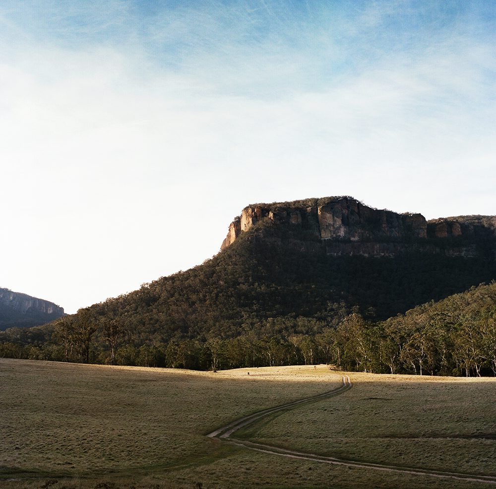 131108hassieaustralia3.jpg