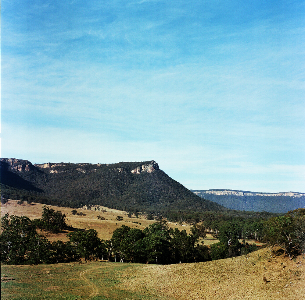 131108hassieaustralia9.jpg